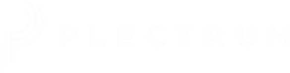 Plectrum Business Solution